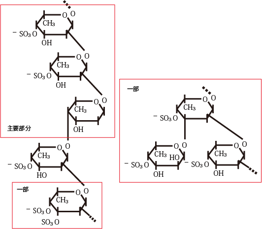 fucoidan_molB5